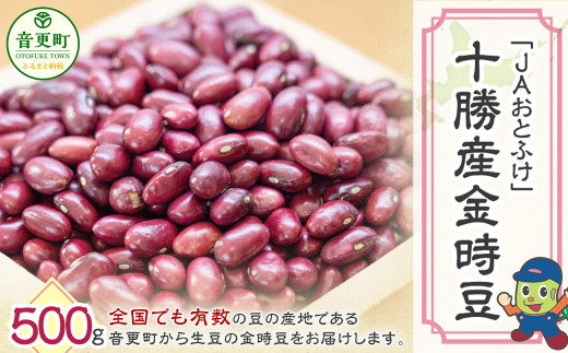 【令和7年産】 金時豆500g「JAおとふけ」【B104】北海道音更町5000野菜・きのこ豆類