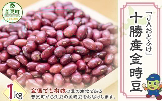 【令和7年産】 金時豆1kg「JAおとふけ」【B105】北海道音更町7000野菜・きのこ豆類