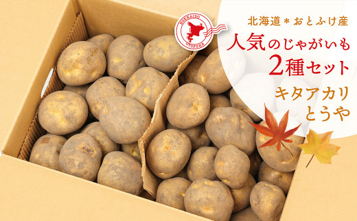 【先行受付】北海道おとふけ産 人気のじゃがいも 2種セット「キタアカリ・とうや」合計9kg 【B73】2025年10月中旬頃より発送予定北海道音更町9000野菜・きのこじゃがいも・イモ類
