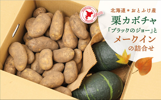 【先行受付】北海道おとふけ産 栗カボチャ「ブラックのジョー」・じゃがいも「メークイン」の詰め合わせ【B74】2025年10月下旬頃より発送予定北海道音更町10000野菜・きのこじゃがいも・イ