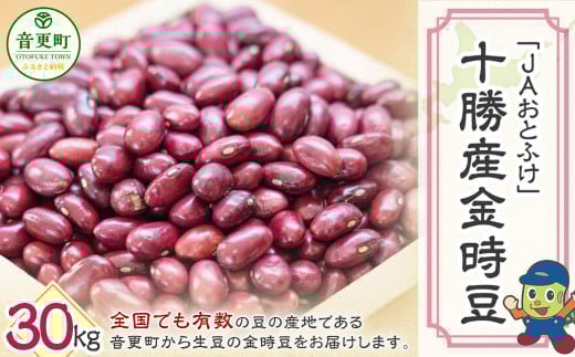 令和7年産 金時豆30kg「JAおとふけ」【D44】 きんときまめ 北海道北海道音更町81000野菜・きのこ豆類