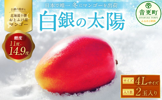 mstnƂӂY}S[ȗzv4LTCY×2ʁyD27zs2025N11{蔭Jn\tkCX106000ʕEt[c}S[EpCibv