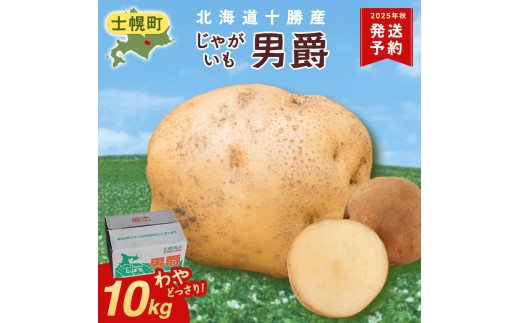 北海道 じゃがいも 男爵 10kg 北海道産 十勝産 男爵芋 男爵イモ 男爵薯 ジャガイモ 芋 いも ポテト お取り寄せ まとめ買い  十勝 士幌町 【V03】北海道士幌町9000野菜・きのこじゃがいも・イモ