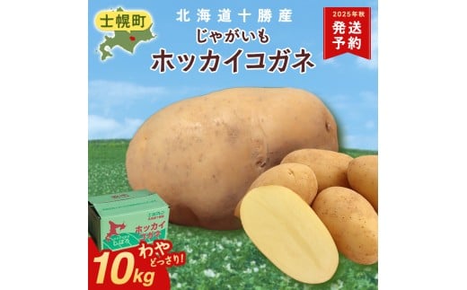 北海道 じゃがいも ホッカイコガネ 10kg 北海道産 十勝産 北海こがね 北海コガネ 北海黄金 ジャガイモ 芋 いも ポテト お取り寄せ まとめ買い  十勝 士幌町 【V06】北海道士幌町10000野菜・きの