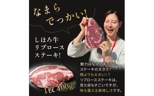 【ふるさと納税】北海道 道の駅ピア21しほろ特選お歳暮ギフト北海道士幌町20000肉牛肉