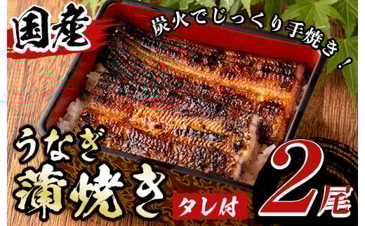 y135 国産!うなぎ蒲焼き(2尾・タレ付き) 国産 九州産 鹿児島県 宮崎県 鰻 ウナギ unagi うな重 うな丼 ひつまぶし うなじゅう 蒲焼 かばやき 無頭 魚 魚介類 土用 丑の日 タレ タレ付 おかず 惣