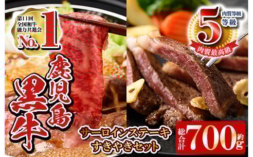 y191 sʌtE701 ō̎T[CXe[L(2)E₫Zbg(v700g)Yјa̍ō5\I Y BY   јa a Xe[