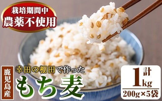 y215 棚田で作ったもち麦200g×5袋(計1kg)!日本棚田百選に選定されている「鹿児島県湧水町幸田棚田のもち麦」国産 九州産 鹿児島産 もち麦 ごはん ご飯 ダイエット 健康【福永商店】鹿児島県
