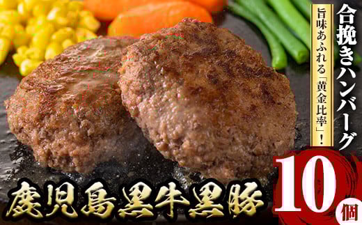 y436 ؃no[O(10Ev1.3kg)    Ԃ u^ ؓ  ~` pbN  Ⓚ no[O ͂΁[ ҂ т   y  ٓy܉YƁz