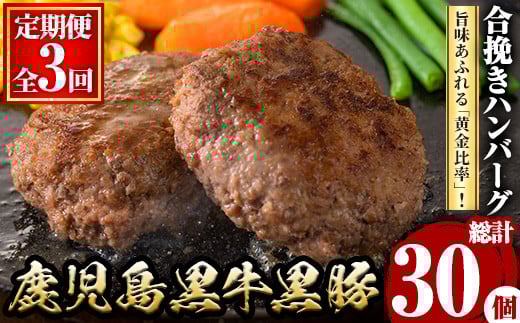 y445 <定期便・全3回(連続)>鹿児島黒牛黒豚ハンバーグ(10個・計1.3kg×3回)  肉 お肉 ぶた ブタ 豚肉 牛肉 ミンチ パック 小分け 冷凍 ハンバーグ はんばーぐ 合挽き あいびき 定期便 頒布会 毎