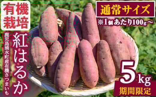 y329-C ≪通常サイズ(1個あたり100g~)≫湧水町産有機さつまいも「紅はるか」(計5kg) 国産 九州産 鹿児島産 有機栽培 サツマイモ 生芋 芋 焼き芋 やきいも べにはるか 天ぷら おかず 野菜 おやつ