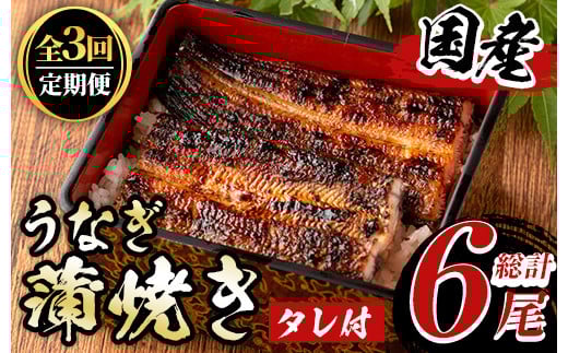 y490 sցES3tYIȂĂ(2×3E^t) Y BY  {茧 V EiM unagi ȏd Ș Ђ܂Ԃ Ȃイ  ΂₫    yp N̓