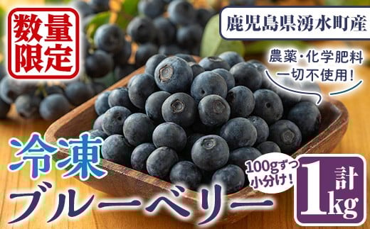 y527 《数量限定》冷凍ブルーベリー(計1kg・100g×10パック) 冷凍 国産 九州産 鹿児島県産 くだもの 果物 フルーツ シャーベット ジャム フローズン ベリー おやつ デザート 【体験型観光農園さ