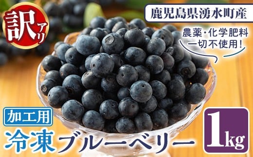 y528 s󂠂EHptⓀu[x[(1kg) Ⓚ Y BY Y  ʕ t[c V[xbg W t[Y x[  fU[g y̌^ό_܃h[