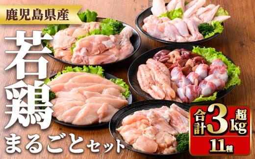 y539 鹿児島県産若鶏まるごとセット(合計3.05kg) 国産 鶏肉 鳥肉 肉 若鶏 お肉 もも肉 モモ肉 むね肉 ムネ肉 胸肉 ささみ ササミ 筋なし 砂肝 肝 手羽先 キチンリブ 手羽元 肩肉 小肉 骨付きモモ