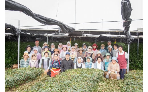手摘み茶園を応援!手摘み茶を五感で味わうセット愛知県豊田市15000お茶・飲料お茶
