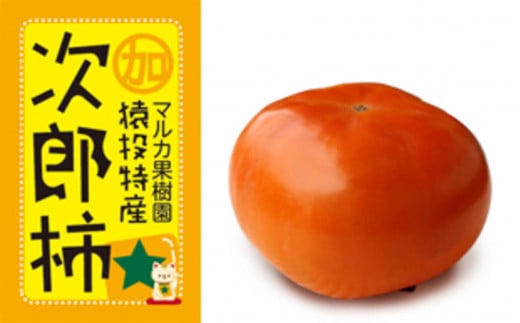 <先行受付>次郎柿 約4kg【2025年11月上旬以降順次発送】愛知県豊田市10000果物・フルーツその他 果物・フルーツ