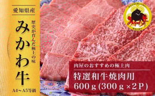 【みかわ牛】特選和牛焼肉用600g愛知県豊田市20000肉牛肉