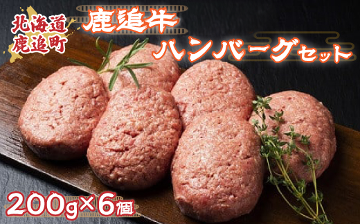 鹿追牛ハンバーグセット 200g×6個【 ふるさと納税 人気 おすすめ ランキング 肉 牛肉 牛ハンバーグ 牛モモ 牛ひき肉 牛サーロイン 肉 牛肉 牛ヒレ 牛すき焼き 北海道 鹿追町  】SKA007北海道鹿