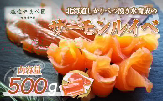 しかりべつ湧き水育成のサーモンルイベ 【 ふるさと納税 人気 おすすめ ランキング サーモンルイベ サーモン ルイベ るいべ 鱒 ます マス 鱒ルイベ ますルイベ 北海道 鹿追町  】SKC003北海道
