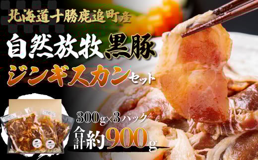 鹿追産 自然放牧黒豚ジンギスカンセット 【 ふるさと納税 人気 おすすめ ランキング 黒豚 黒豚肉 豚肉 肉 豚 ジンギスカン 豚ジンギスカン 黒豚ジンギスカン 北海道 鹿追町  】 SKN002北海道