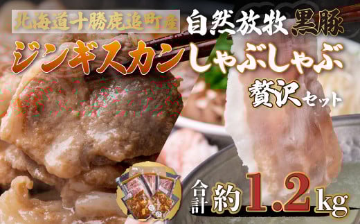 ǎY Rq؂Ԃԁ؃WMXJґZbg y ӂ邳Ɣ[ lC  LO   ؓ ؓ |[N Ԃ WMXJ ؂ kC 