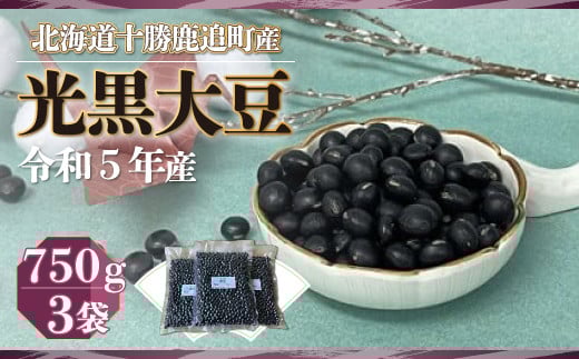  750×3 y ӂ邳Ɣ[ lC  LO   哤 哤 哤 ǎY哤 ϓ XC[c  kC ǒ  z SKW001kCǒ13000؁Ê