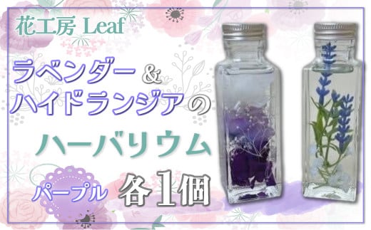 ラベンダーとハイドランジアのハーバリウム(パープル) 【 ふるさと納税 人気 おすすめ ランキング ハーバリウム ラベンダー ハイドランジア インテリア おしゃれ 小物 北海道 鹿追町  】
