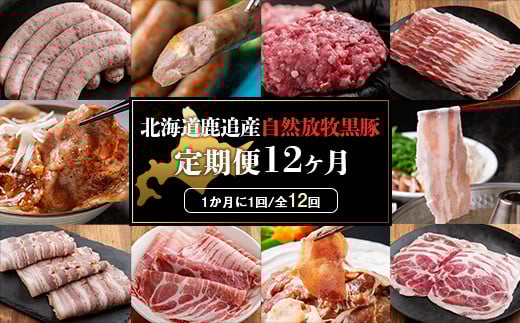 鹿追産 自然放牧黒豚 圧巻の豚肉おまかせ定期便(12ヶ月分) 【 ふるさと納税 人気 おすすめ ランキング 黒豚 自然放牧黒豚 ウインナー ソーセージ ベーコン 豚肉 加工肉 定期便 十勝 北海