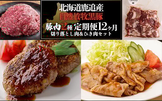 \ǒY@q؁@Ђ؂藎ƂZbgi1,950jy ӂ邳Ɣ[ lC  LO  Rq ECi[ \[Z[W x[R ؓ H  \ k