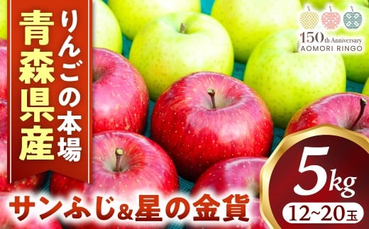 りんご【サンふじ&星の金貨】セット 約5kg(計12〜20玉)【2025年産・先行予約】★2025年11月中旬〜12月中旬頃まで発送予定★ りんご 林檎 リンゴ 果物 フルーツ 国産 贈答 土産 青森県 三戸町