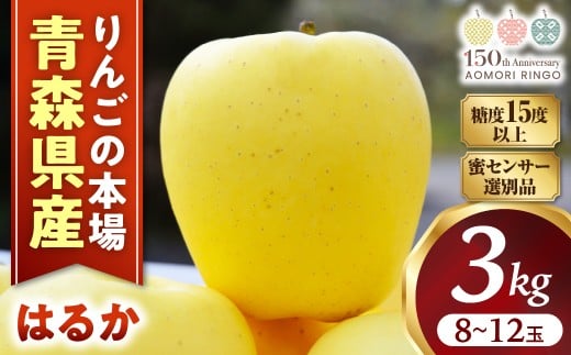 ★蜜センサー選別品★高級りんご【はるか】約3kg(8〜12玉)【2025年産・先行予約】★2025年12月上旬〜2026年1月上旬頃まで発送予定★ りんご 林檎 リンゴ 希少 はるか フルーツ 果物 国産 贈答