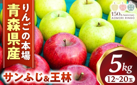りんご【サンふじ&王林】セット 約5kg(計12〜20玉)【2025年産・先行予約】★2025年12月上旬〜12月下旬頃まで発送予定★ りんご 林檎 リンゴ 国産 果物 フルーツ 贈答 土産 青森県 三戸町 H2907