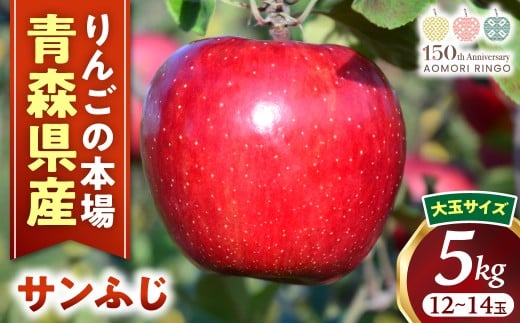 りんご【サンふじ】約5kg(12〜14玉・大玉サイズ)【2025年産・先行予約】★2025年12月上旬〜12月下旬頃発送予定★ 青森県三戸町産 アップル 林檎 フルーツ 果物 果実 青森県産 三戸 贈答 ギフ