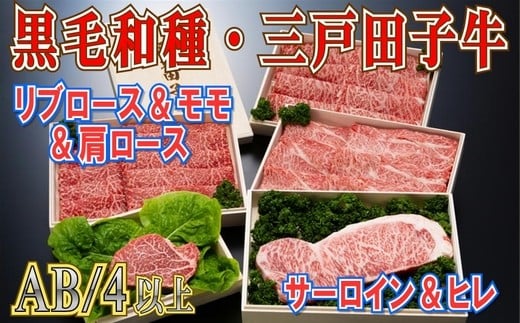【黒毛和牛A4・B4等級以上】三戸田子牛豪華セット 合計3kg青森県三戸町220000肉牛肉
