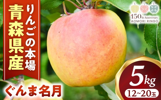 りんご【ぐんま名月】約5kg(12〜20玉)【2025年産・先行予約】★2025年11月上旬〜12月下旬頃まで発送予定★ りんご 林檎 リンゴ 国産 ぐんま名月 フルーツ 果物 贈答 土産 青森県 三戸町 R0113青