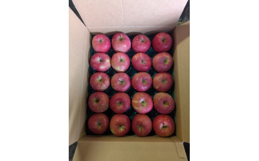 青森県産りんご 光センサー選別サンふじ 秀A品 約10kg(中〜小玉 32~40玉) りんご 国産 フルーツ 果物 林檎 リンゴ サンふじ 中玉 小玉 新鮮 青森県 三戸町 AS-25-012青森県三戸町32000果物・フ