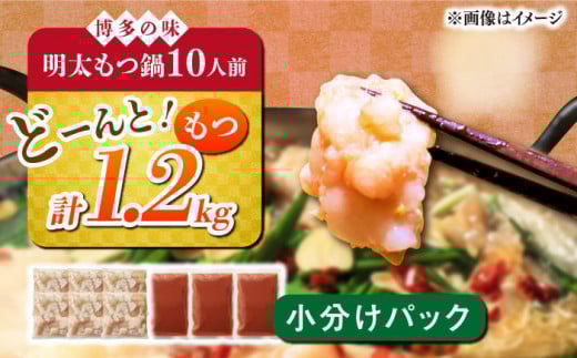 yLOPʎ܁Iz    Zbg 10lOsz㒬tyMEAT PLUSz  Zbg [ABBP011] 14000~z㒬15000