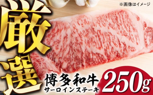 yIʎgpIza A4ȏ T[C Xe[L 250g×1sz㒬tyMEAT PLUSz   [ABBP006] 10000~z㒬10000