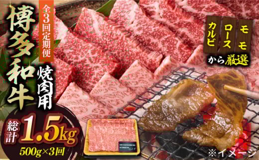 yS3ցzya̎|\Izaēp 500gsz㒬tyMEAT PLUSz  BBQ [ABBP033] 33000~z㒬34000