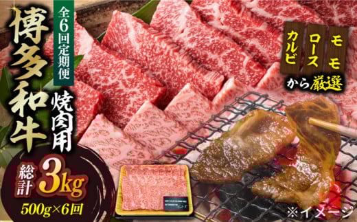 yS6ցzya̎|\Izaēp 500gsz㒬tyMEAT PLUSz  BBQ [ABBP034] 66000~z㒬67000