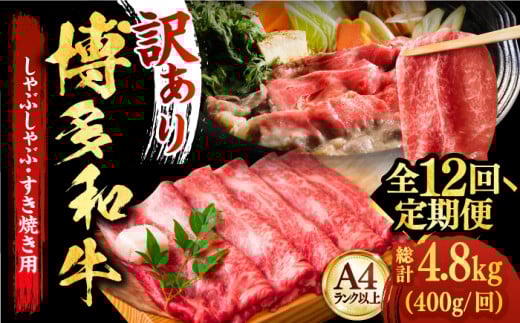 yS12ցzyIʎgpIzaA4ȏサԂԁEĂp400gsz㒬tyMEAT PLUSz   [ABBP050] 102000~z㒬103000