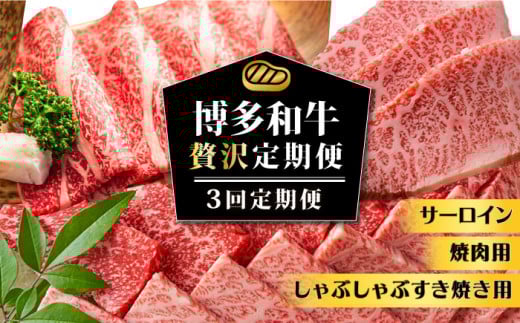 y3ցza ґ sz㒬tyMEAT PLUSz [ABBP115] 38000~z㒬39000