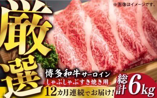 yS12ցzyIʁza T[C Ԃ Ă p 500gsz㒬tyMEAT PLUSz   XCX [ABBP141] 184000~z㒬186000