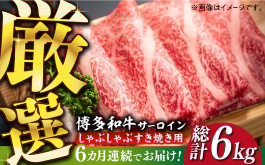 yS6ցzyIʁza T[C ԂԂĂp 1kgi500g×2pjsz㒬tyMEAT PLUSz   [ABBP143] 180000~z㒬180000