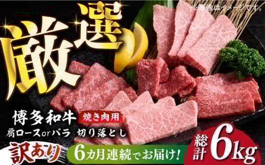 yS6ցzy󂠂za ē ؂藎Ƃ1kgi500g×2pjsz㒬tyMEAT PLUSz   [ABBP155] 66000~z㒬120000