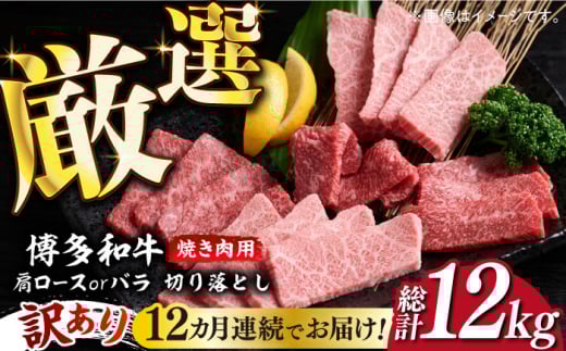 yS12ցzy󂠂za ē ؂藎Ƃ1kgi500g×2pjsz㒬tyMEAT PLUSz   [ABBP156] 132000~z㒬240000