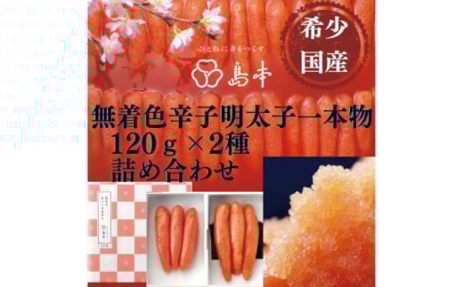 yhqq̓{z󏭍YEFhqq{120×2 z㒬yГ{Hiz߂񂽂 炱 q Y F 1{ [ABCR015] 14000~z㒬14000
