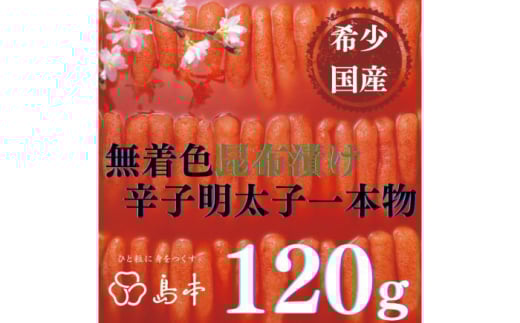 yhqq̓{z󏭍YEFzЂhqq{120 z㒬yГ{Hiz߂񂽂 炱 q Y F 1{ [ABCR026] 8000~z㒬8000