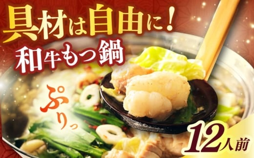 yvczaZbg 12lOsz㒬tyvcXz  Ȃ [ABCL175]z㒬17000ZbgE؁EHHiJ[EV`[